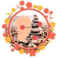 Auriculoterapia